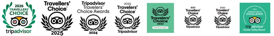 tripadvisor group awards 2019 2026 copy
