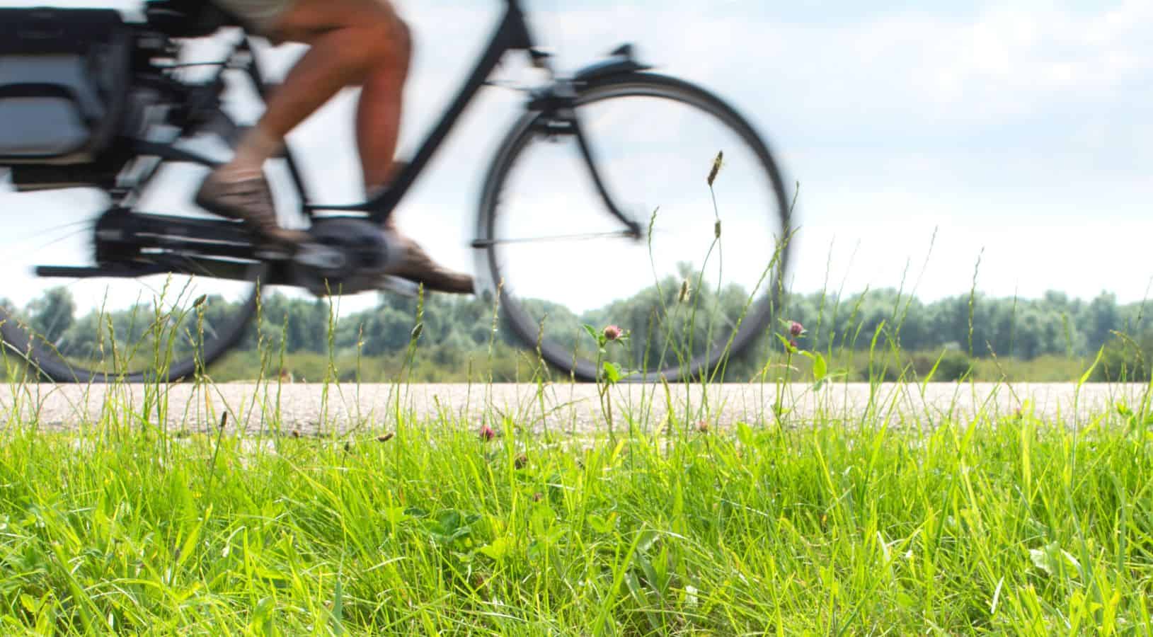 Electric bike experience through Hunter Valley Resort and Farm vineyard