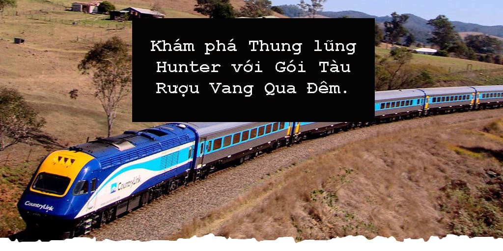 train8 VN