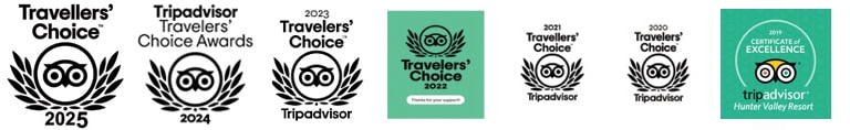 tripadvisor group awards 2019 2025 copy