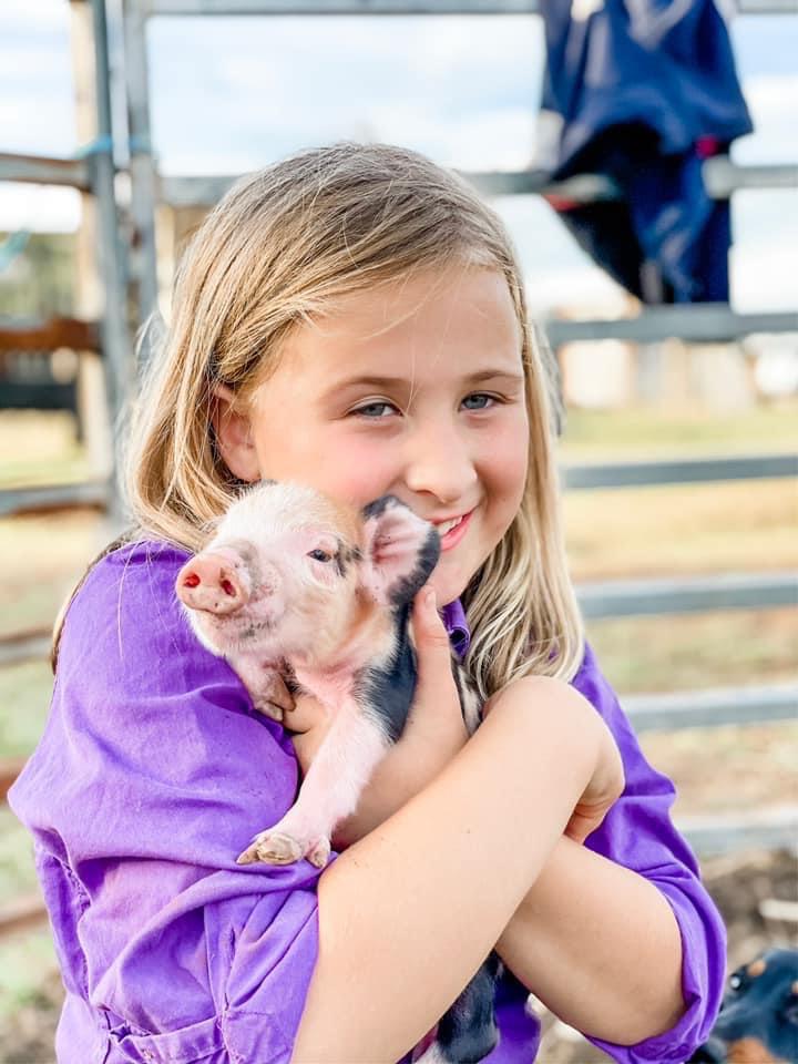 Children enjoying the farm animal experience at Hunter Farm