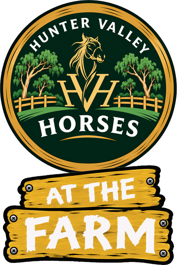 Hunter Valley Horses at the Farm