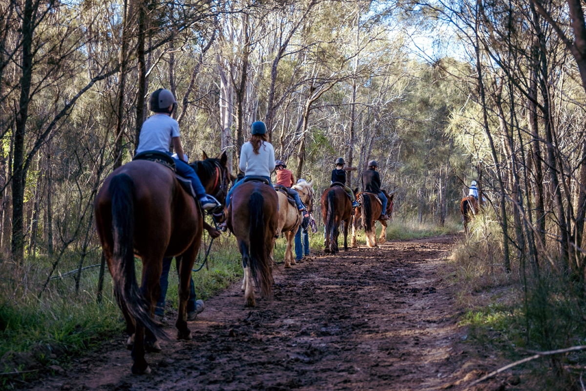 Family farm experience at Hunter Farm in Pokolbin