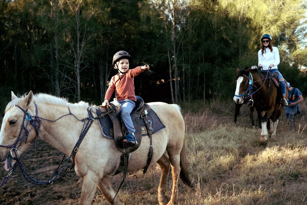 Hunter Farm animal experience in Pokolbin, Hunter Valley