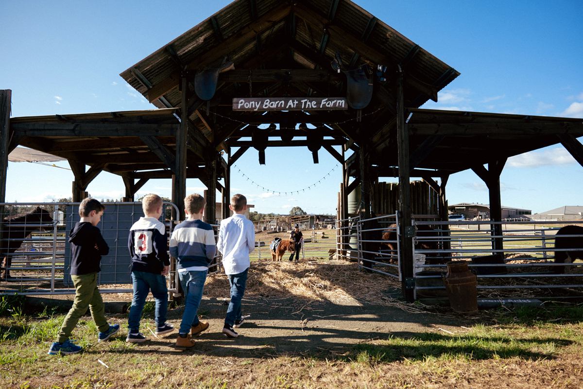 Animals at the family-friendly Hunter Farm in Pokolbin