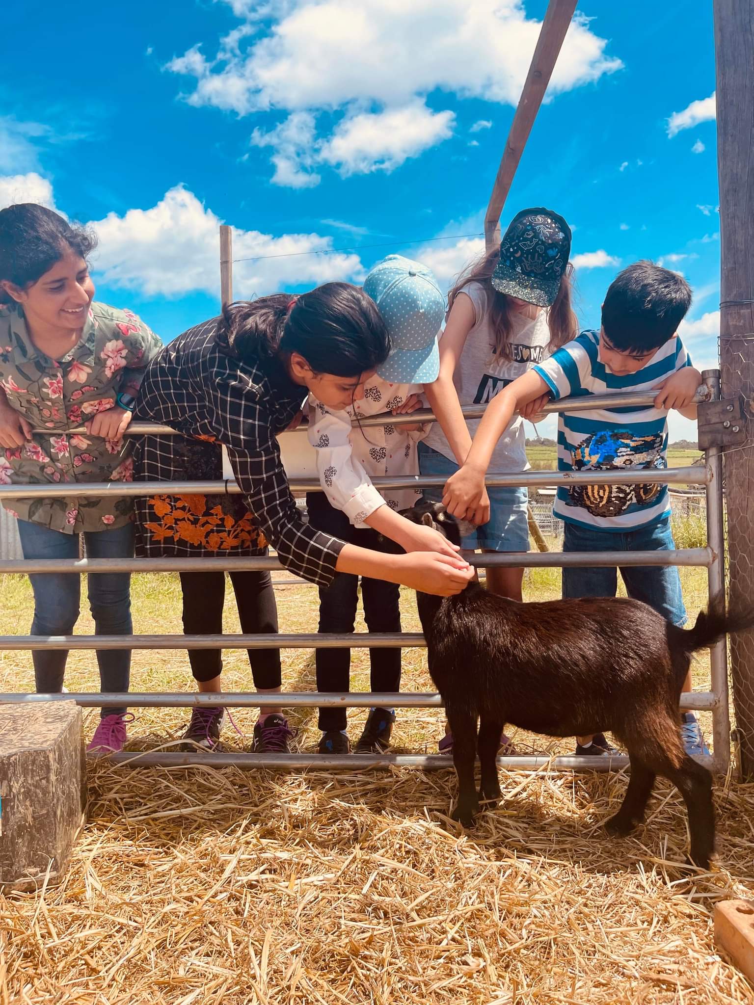 Kids meeting farm animals at Hunter Farm in Pokolbin
